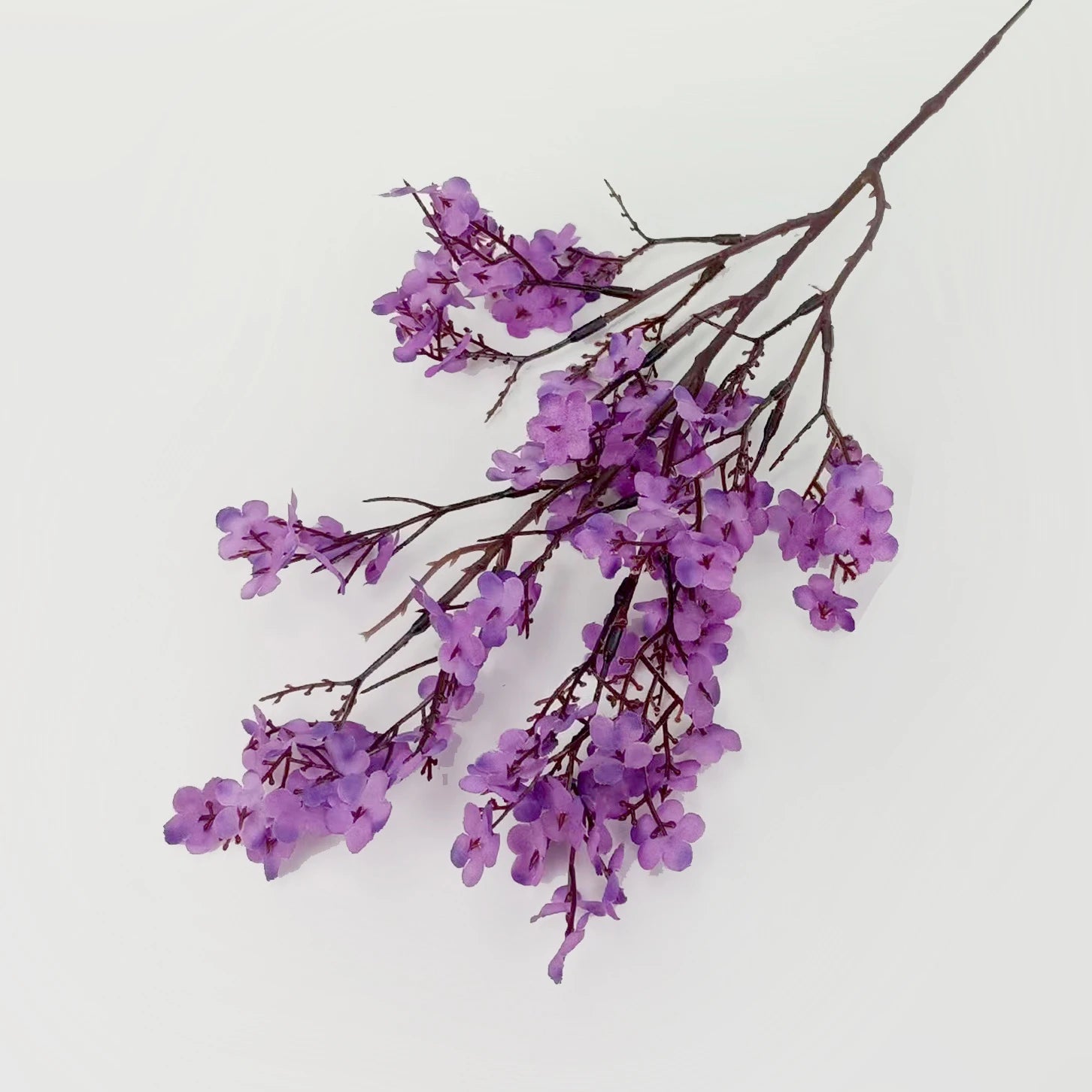 Cherry Blossom & Baby’s Breath