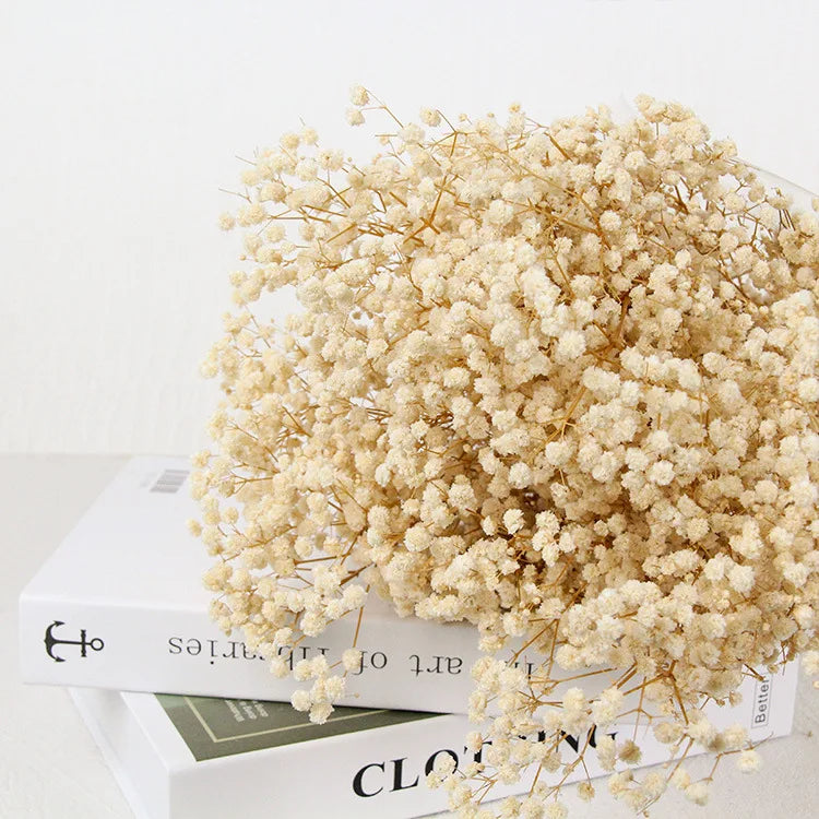 Dried Baby’s Breath Bouquet