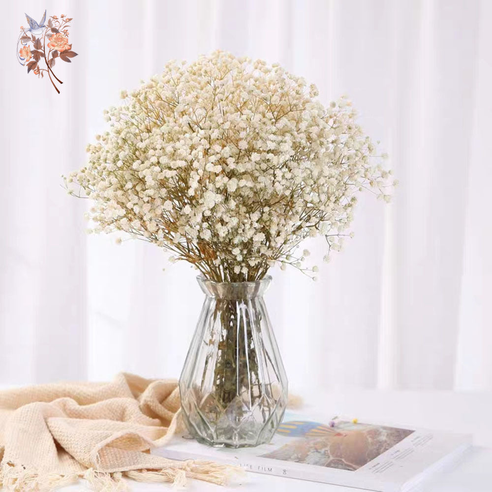 Dried Baby’s Breath Bouquet